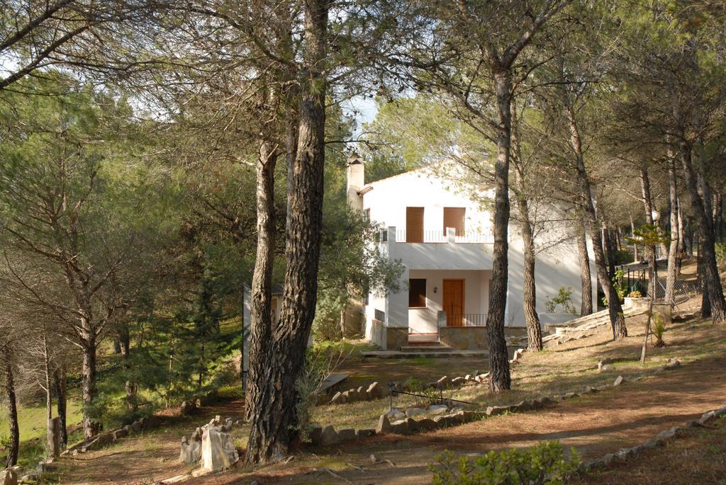 Apartment Parque *