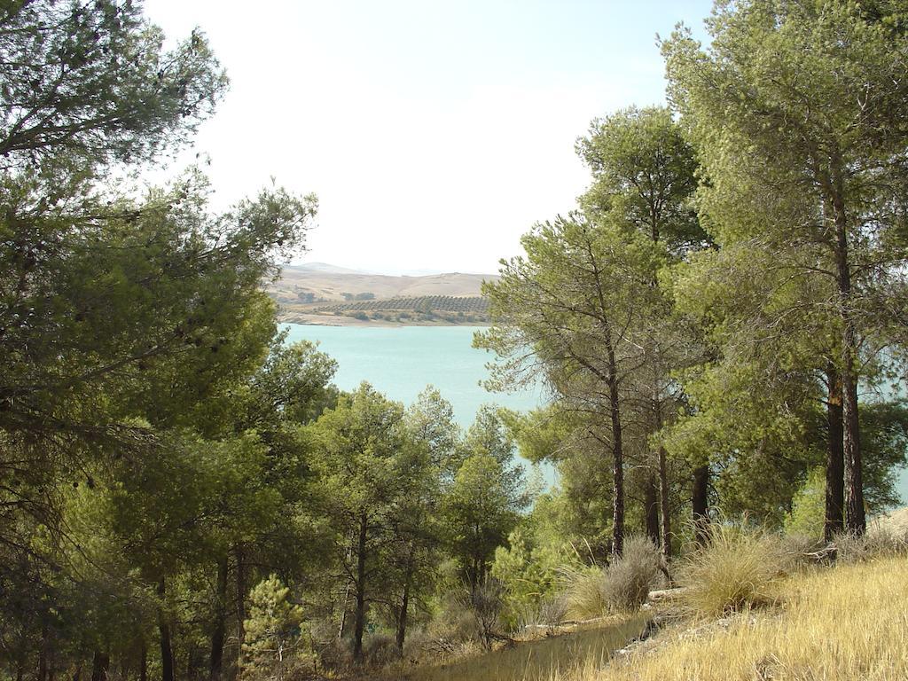 Parque Ardales
